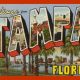 Vintage Postcard Tampa: Florida Memories | Old Stamp Collecting Guide: Discover, Value & Preserve Vintage Stamps
