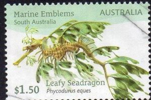 Buying & Using $1.50 Postage Stamps: A Guide Old Stamp Collecting Guide: Discover, Value & Preserve Vintage Stamps Buying & Using $1.50 Postage Stamps: A Guide | Old Stamp Collecting Guide: Discover, Value & Preserve Vintage Stamps