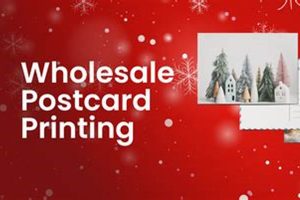 Bulk Postcard Printing | Wholesale Prices & Fast Turnaround | Old Stamp Collecting Guide: Discover, Value & Preserve Vintage Stamps