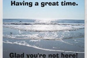 Funny "Glad You're Not Here" Postcards: A Travel Trend | Old Stamp Collecting Guide: Discover, Value & Preserve Vintage Stamps