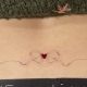 Cute Small Tramp Stamp Tattoo Ideas & Designs | Old Stamp Collecting Guide: Discover, Value & Preserve Vintage Stamps