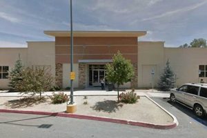 Food Stamp Office Reno Nv | Old Stamp Collecting Guide: Discover, Value & Preserve Vintage Stamps