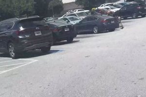 My Food Stamp Card Stolen: What To Do? Old Stamp Collecting Guide: Discover, Value & Preserve Vintage Stamps My Food Stamp Card Stolen: What To Do? | Old Stamp Collecting Guide: Discover, Value & Preserve Vintage Stamps