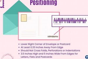Postcard Barcode Tracking & Automation Guide | Old Stamp Collecting Guide: Discover, Value & Preserve Vintage Stamps