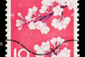Beautiful Cherry Blossom Postage Stamps: A Guide | Old Stamp Collecting Guide: Discover, Value & Preserve Vintage Stamps