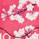 Beautiful Cherry Blossom Postage Stamps: A Guide | Old Stamp Collecting Guide: Discover, Value & Preserve Vintage Stamps