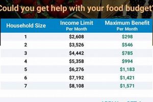 Wisconsin Food Stamp Benefits Guide & Eligibility Old Stamp Collecting Guide: Discover, Value & Preserve Vintage Stamps Wisconsin Food Stamp Benefits Guide & Eligibility | Old Stamp Collecting Guide: Discover, Value & Preserve Vintage Stamps