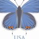 Rare Blue Butterfly Postage Stamps: A Collector's Guide | Old Stamp Collecting Guide: Discover, Value & Preserve Vintage Stamps