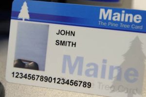 Maine Food Stamp Guidelines 2024: SNAP Eligibility &amp; Application | Old Stamp Collecting Guide: Discover, Value & Preserve Vintage Stamps