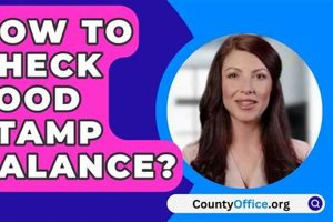 Check GA Food Stamp Balance Online & By Phone Old Stamp Collecting Guide: Discover, Value & Preserve Vintage Stamps Check GA Food Stamp Balance Online & By Phone | Old Stamp Collecting Guide: Discover, Value & Preserve Vintage Stamps