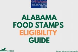 Troy Al Food Stamp Office Old Stamp Collecting Guide: Discover, Value & Preserve Vintage Stamps Troy Al Food Stamp Office | Old Stamp Collecting Guide: Discover, Value & Preserve Vintage Stamps