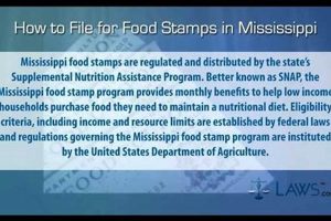 Find Greenwood, MS Food Stamp Office Locations Old Stamp Collecting Guide: Discover, Value & Preserve Vintage Stamps Find Greenwood, MS Food Stamp Office Locations | Old Stamp Collecting Guide: Discover, Value & Preserve Vintage Stamps