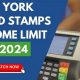 Nyc Food Stamp Income Limit | Old Stamp Collecting Guide: Discover, Value & Preserve Vintage Stamps