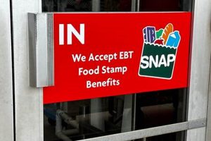 Tuscaloosa County Food Stamp Office Old Stamp Collecting Guide: Discover, Value & Preserve Vintage Stamps Tuscaloosa County Food Stamp Office | Old Stamp Collecting Guide: Discover, Value & Preserve Vintage Stamps