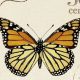 Valuable Butterfly Postage Stamps: Price Guide | Old Stamp Collecting Guide: Discover, Value & Preserve Vintage Stamps