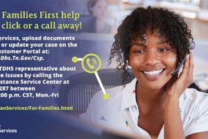 Tn Food Stamp Customer Service Old Stamp Collecting Guide: Discover, Value & Preserve Vintage Stamps Tn Food Stamp Customer Service | Old Stamp Collecting Guide: Discover, Value & Preserve Vintage Stamps