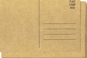 Premium Postcard Cardstock Printing & Options | Old Stamp Collecting Guide: Discover, Value & Preserve Vintage Stamps