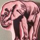 Authentic Rubber Elephant Stamp Designs & More | Old Stamp Collecting Guide: Discover, Value & Preserve Vintage Stamps