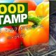 Report Food Stamp Fraud: How & Where | Old Stamp Collecting Guide: Discover, Value & Preserve Vintage Stamps