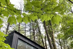 Cozy Postcard Cabins in Roscoe, Western Catskills Old Stamp Collecting Guide: Discover, Value & Preserve Vintage Stamps Cozy Postcard Cabins in Roscoe, Western Catskills | Old Stamp Collecting Guide: Discover, Value & Preserve Vintage Stamps