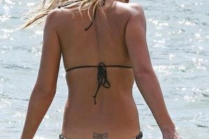 Jessica Alba Tramp Stamp | Old Stamp Collecting Guide: Discover, Value & Preserve Vintage Stamps