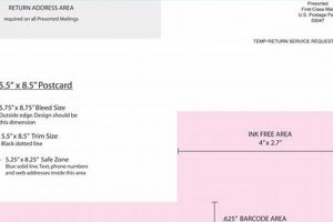 Free 5x7 Postcard Templates | Design & Print | Old Stamp Collecting Guide: Discover, Value & Preserve Vintage Stamps