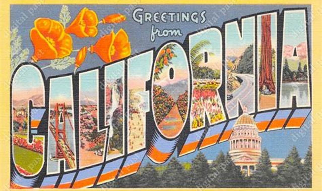 Classic Vintage California Postcards: A Collector's Guide