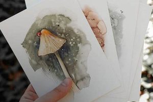 Postcard Sets | Old Stamp Collecting Guide: Discover, Value & Preserve Vintage Stamps