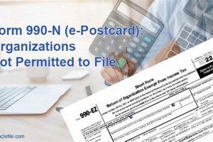 File 990-N Postcard: Easy Guide &amp; Deadlines | Old Stamp Collecting Guide: Discover, Value & Preserve Vintage Stamps