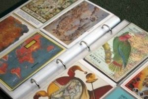 Best Vintage Postcard Albums: Protect Your Collection | Old Stamp Collecting Guide: Discover, Value & Preserve Vintage Stamps