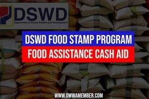 DC Food Stamp Program: Your Guide & Benefits | Old Stamp Collecting Guide: Discover, Value & Preserve Vintage Stamps