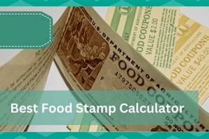 WA Food Stamp Calculator: Check Eligibility | Old Stamp Collecting Guide: Discover, Value & Preserve Vintage Stamps