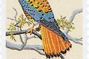 Rare American Kestrel 1 Cent Stamp: Value & History Old Stamp Collecting Guide: Discover, Value & Preserve Vintage Stamps Rare American Kestrel 1 Cent Stamp: Value & History | Old Stamp Collecting Guide: Discover, Value & Preserve Vintage Stamps