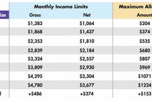 Texas Food Stamp Amount Old Stamp Collecting Guide: Discover, Value & Preserve Vintage Stamps Texas Food Stamp Amount | Old Stamp Collecting Guide: Discover, Value & Preserve Vintage Stamps