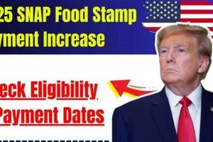 Your Food Stamp Pay Dates Guide | Old Stamp Collecting Guide: Discover, Value & Preserve Vintage Stamps