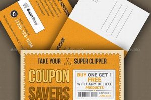 Effective Coupon Postcard Marketing Strategies | Old Stamp Collecting Guide: Discover, Value & Preserve Vintage Stamps