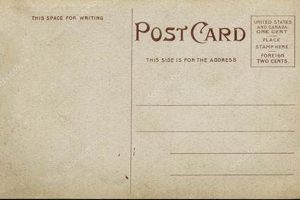 Premium Postcard Stock: Top Picks & Guide | Old Stamp Collecting Guide: Discover, Value & Preserve Vintage Stamps