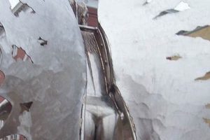 Mythical Mothman Statue Tramp Stamp Design | Old Stamp Collecting Guide: Discover, Value & Preserve Vintage Stamps