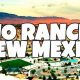 Find Food Stamp Office Locations in Rio Rancho, NM | Old Stamp Collecting Guide: Discover, Value & Preserve Vintage Stamps