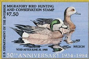 Migratory Bird Stamp Act: A Conservation Legacy | Old Stamp Collecting Guide: Discover, Value & Preserve Vintage Stamps