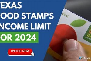 Texas Food Stamp Income Limits & Eligibility | Old Stamp Collecting Guide: Discover, Value & Preserve Vintage Stamps