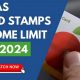 Texas Food Stamp Income Limits & Eligibility | Old Stamp Collecting Guide: Discover, Value & Preserve Vintage Stamps