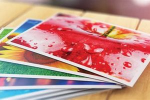 Walmart Postcard Printing | Old Stamp Collecting Guide: Discover, Value & Preserve Vintage Stamps