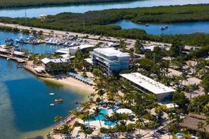 Postcard In Islamorada | Old Stamp Collecting Guide: Discover, Value & Preserve Vintage Stamps