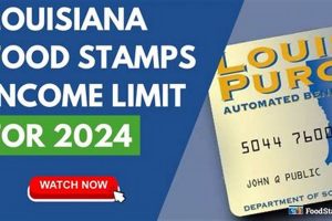 Louisiana Food Stamp Allotment 2024 | Old Stamp Collecting Guide: Discover, Value & Preserve Vintage Stamps