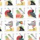 Buy USPS Postcard Stamps Online: Official & Discounted | Old Stamp Collecting Guide: Discover, Value & Preserve Vintage Stamps