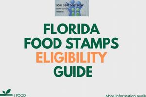 Get Florida Food Stamp Assistance &amp; Benefits | Old Stamp Collecting Guide: Discover, Value & Preserve Vintage Stamps
