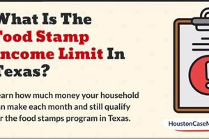Texas Food Stamp Income Limits: A 2024 Guide | Old Stamp Collecting Guide: Discover, Value & Preserve Vintage Stamps