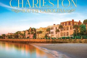 Best Charleston Postcard Company: Shop Local | Old Stamp Collecting Guide: Discover, Value & Preserve Vintage Stamps