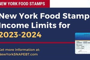 NY Food Stamp Income Limits & Eligibility 2024 | Old Stamp Collecting Guide: Discover, Value & Preserve Vintage Stamps